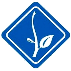 mở mắt