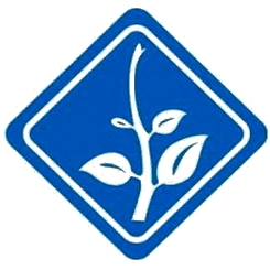 cánh mềm